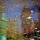 Illustration for article titled Shooting Challenge: Fall Leaves Gallery